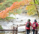 친환경 여행지 ＇지리산 뱀사골＇